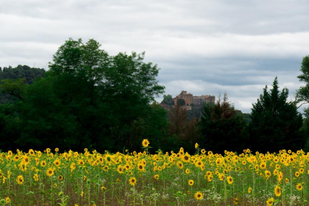 Domaine De Borie Chambres D'Hotes Bretenoux Esterno foto