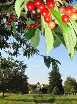 Domaine De Borie Chambres D'Hotes Bretenoux Esterno foto